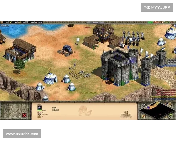 帝国时代全方位攻略:战术布局与资源管理提升游戏实力 帝国时代全方位攻略:战术布局与资源管理提升游戏实力