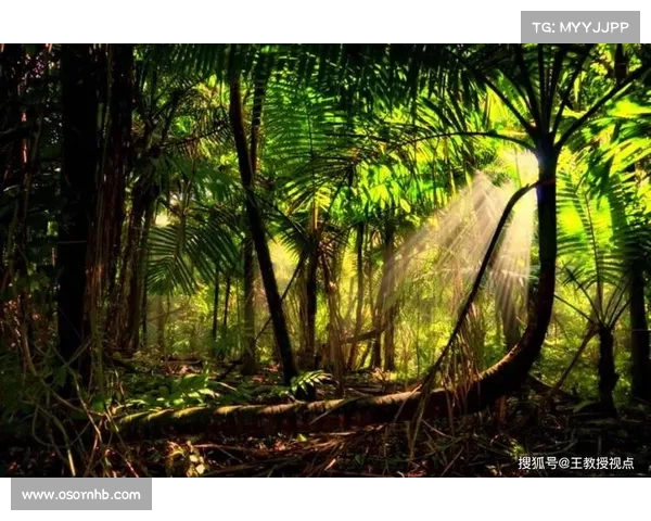 辛多雷宝珠的传奇背后:从历史传说到无尽力量的奥秘揭示 辛多雷宝珠的传奇背后:从历史传说到无尽力量的奥秘揭示