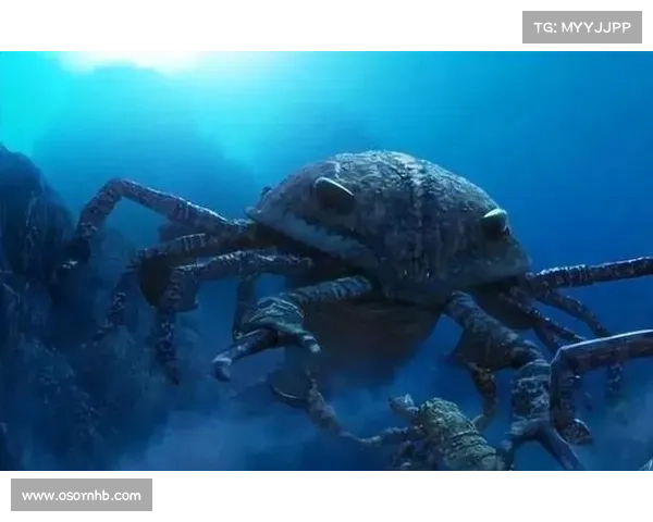 探寻恐怖祖先的隐秘足迹与被遗忘的历史真相 探寻恐怖祖先的隐秘足迹与被遗忘的历史真相